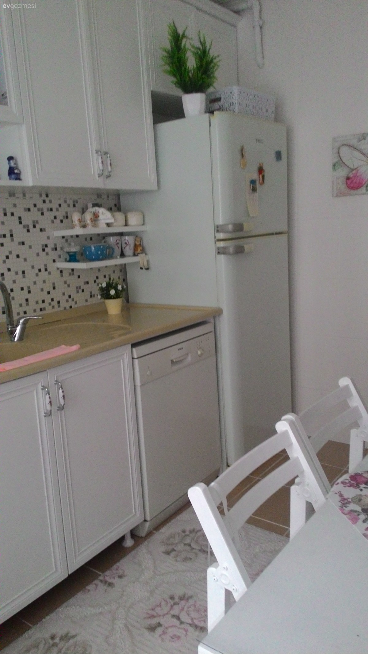 Masa örtüsü ve hali