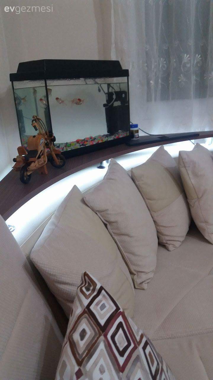 Fikirlerinize ihtiyacim var