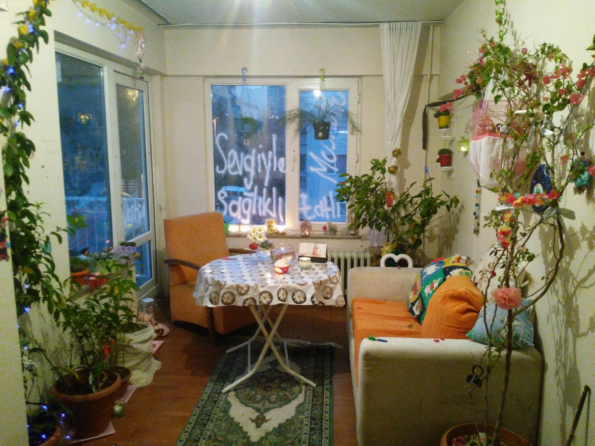 minicik yaşam alani