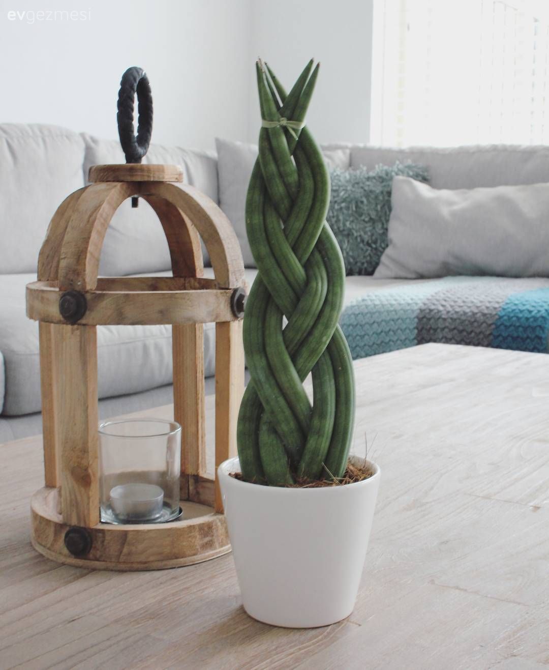 Işıl ışıl bir ev, minimalist bir dekor. Sadeliğin sıradışı şıklığı!