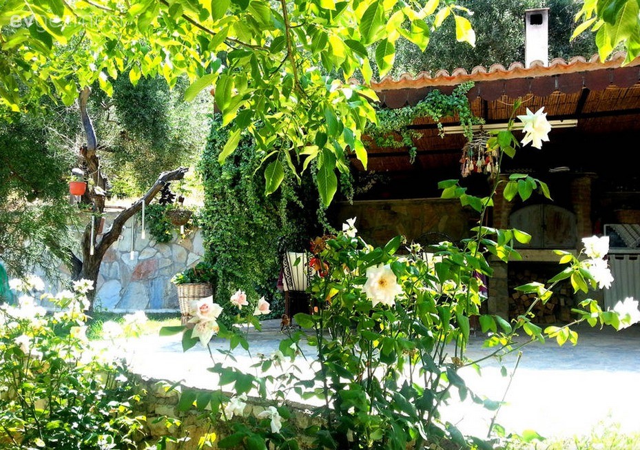 Bahçe, Çiçekler, Köy evi