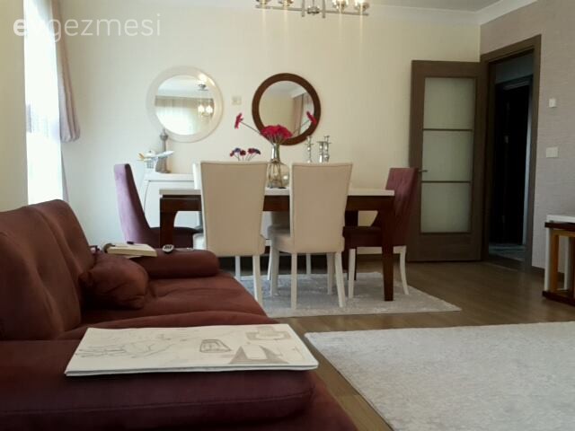 Halı, Kahverengi, Salon, Yemek Odası