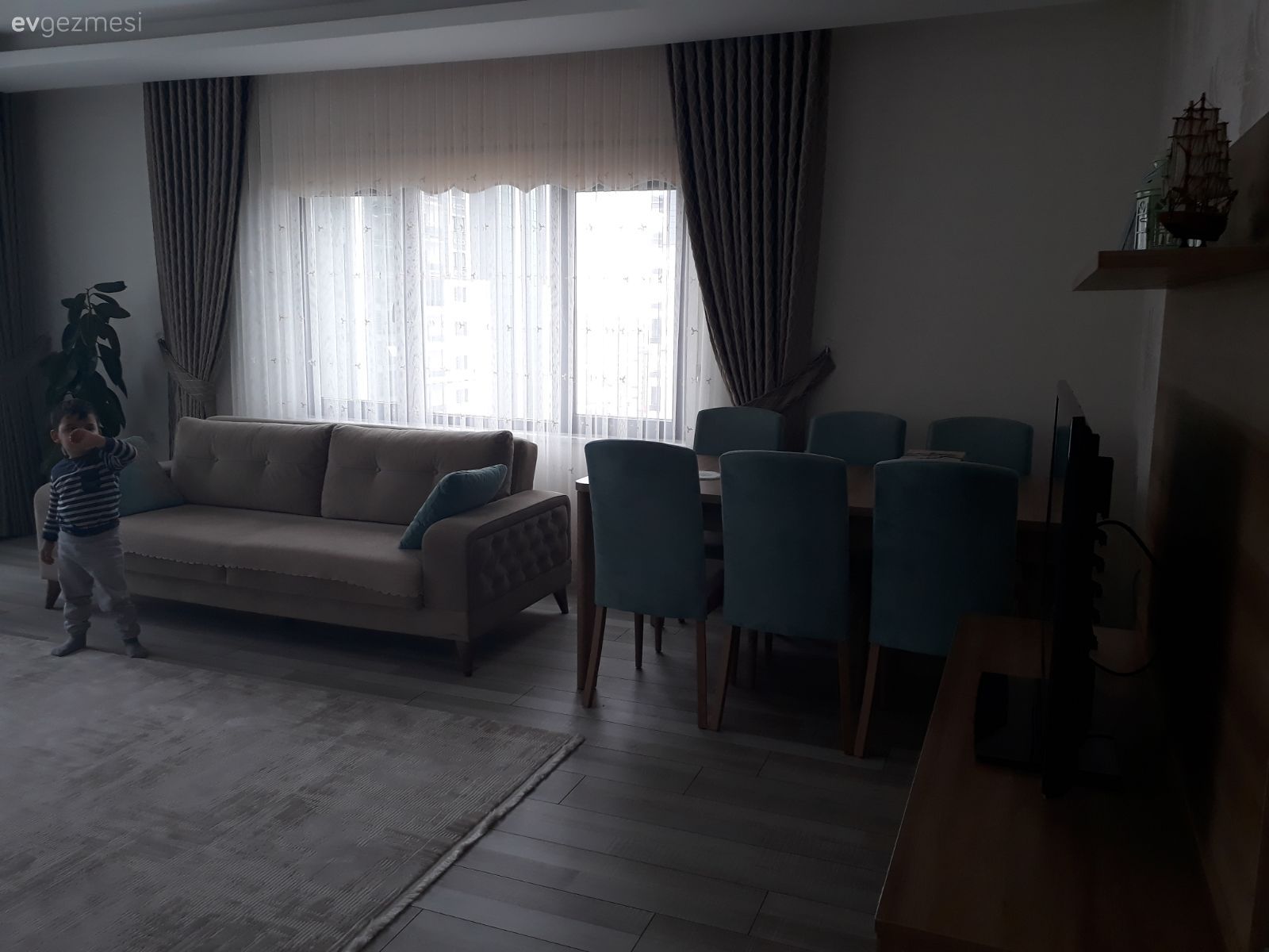 Salon, Yemek Odası, Mavi, Halı