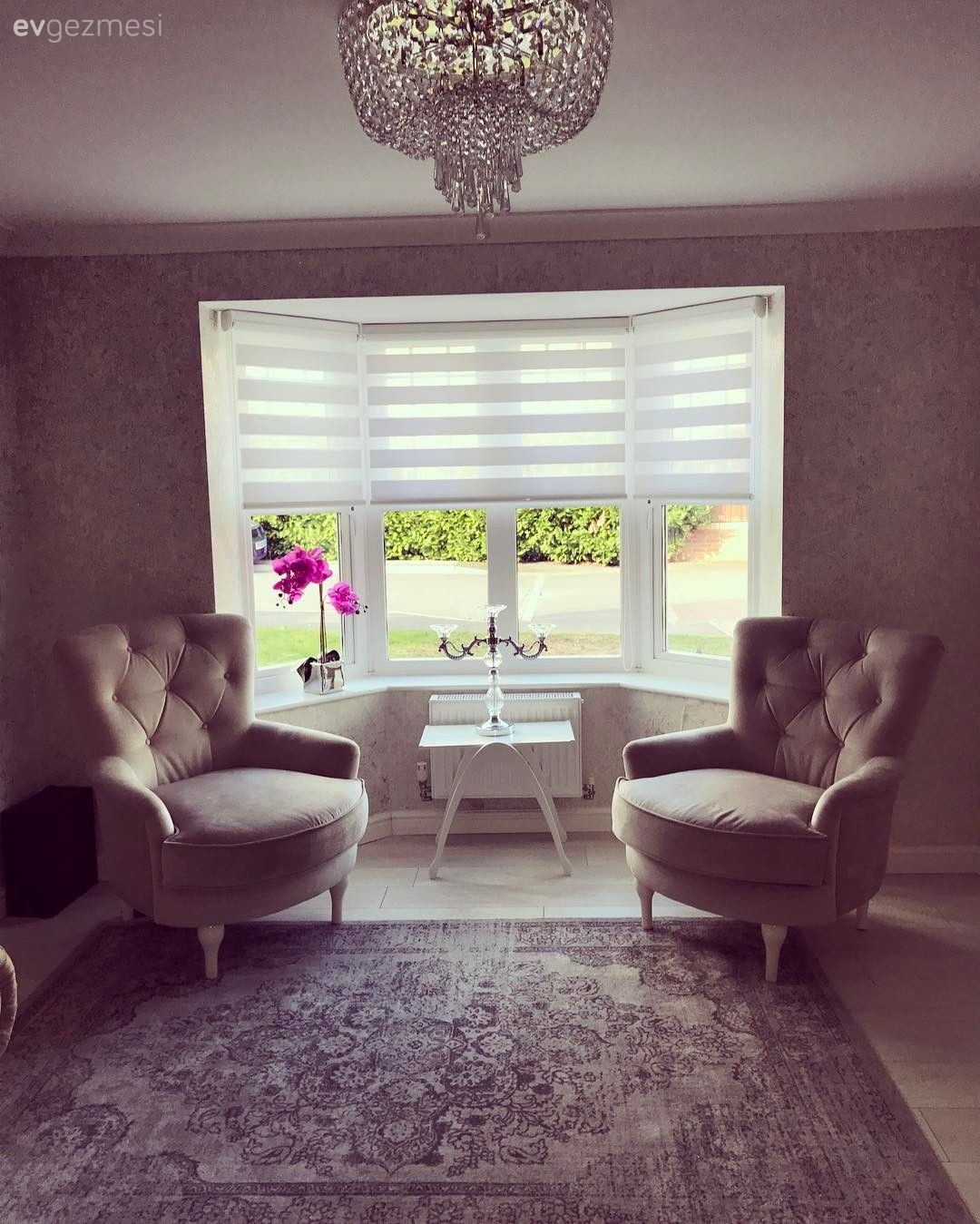 Salon, Berjer, Halı