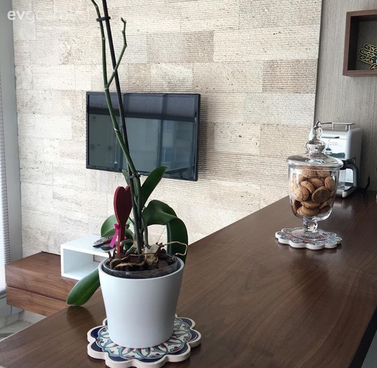 Modern mutfak, Mutfak, Orkide, Taş duvar