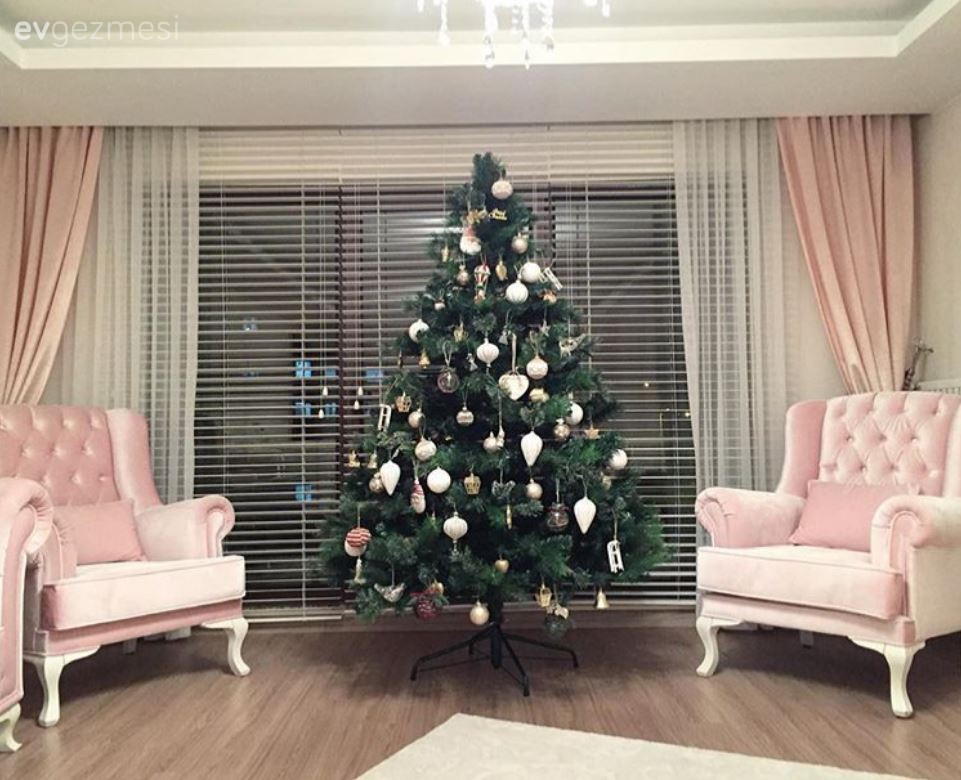 Berjer, Pembe, Perde, Salon