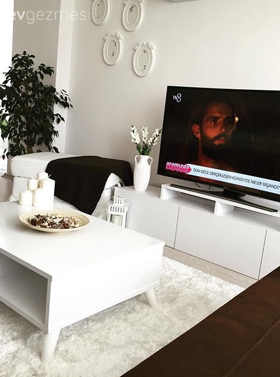 Kübra hanımın ev bitkileriyle zenginleşen, keyifli evi..