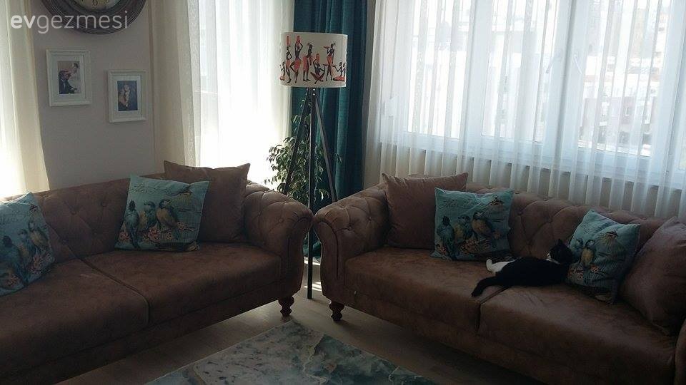 Kahverengi, Lambader, Mavi, Salon, Aydınlatma