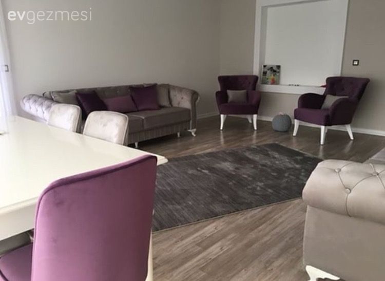 Salon, Berjer, Duvar Nişleri, Gri, Halı