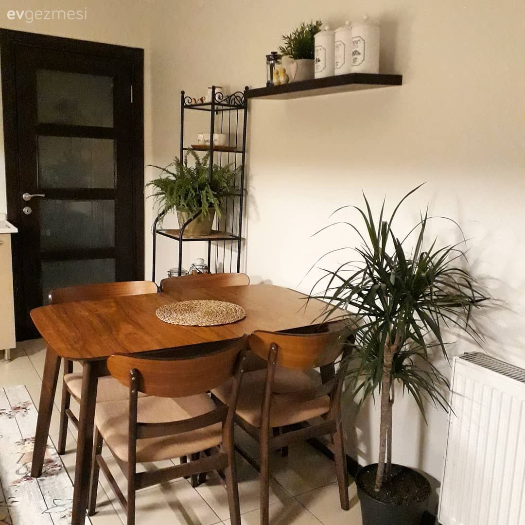 Mutfak masası, Yukka, Ahşap Mobilya