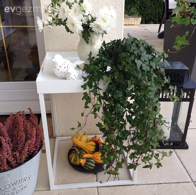 Bahçe, Çiçeklik, Dekoratif Objeler, Sehpa