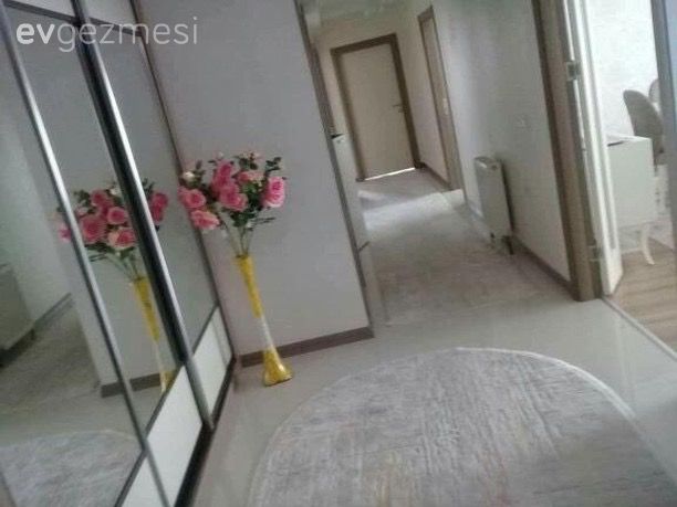 Vestiyer, Halı, Antre