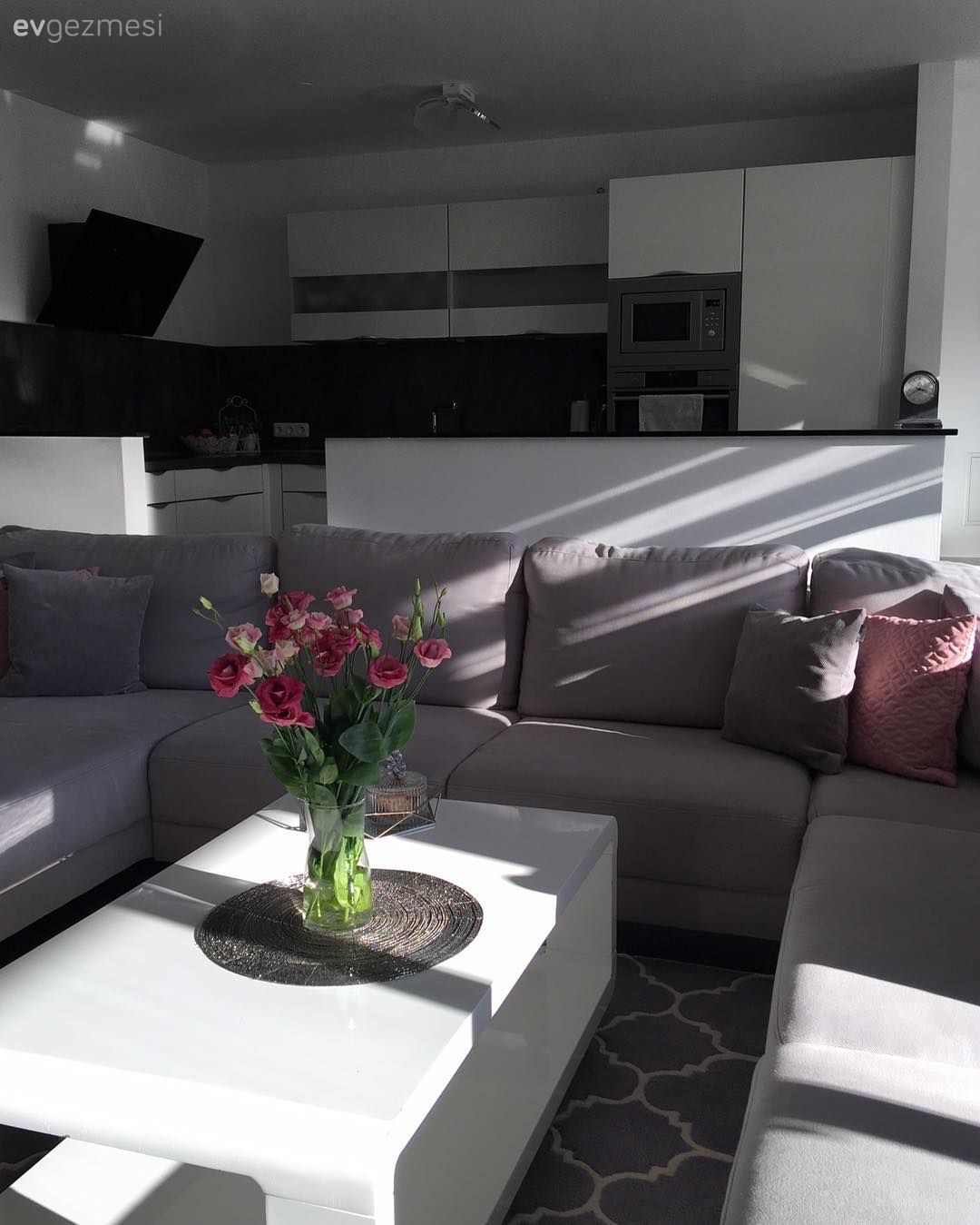 Salon, Gri, Orta sehpa, Çiçekler, Halı, Beyaz mutfak, Amerikan Mutfak