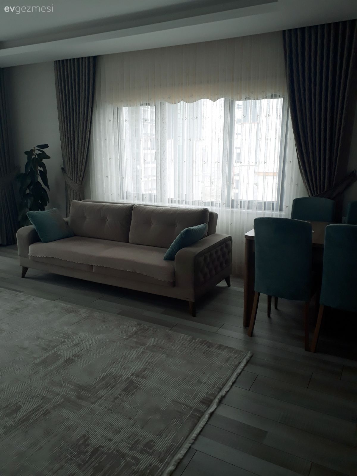 Salon, Krem, Halı, Perde