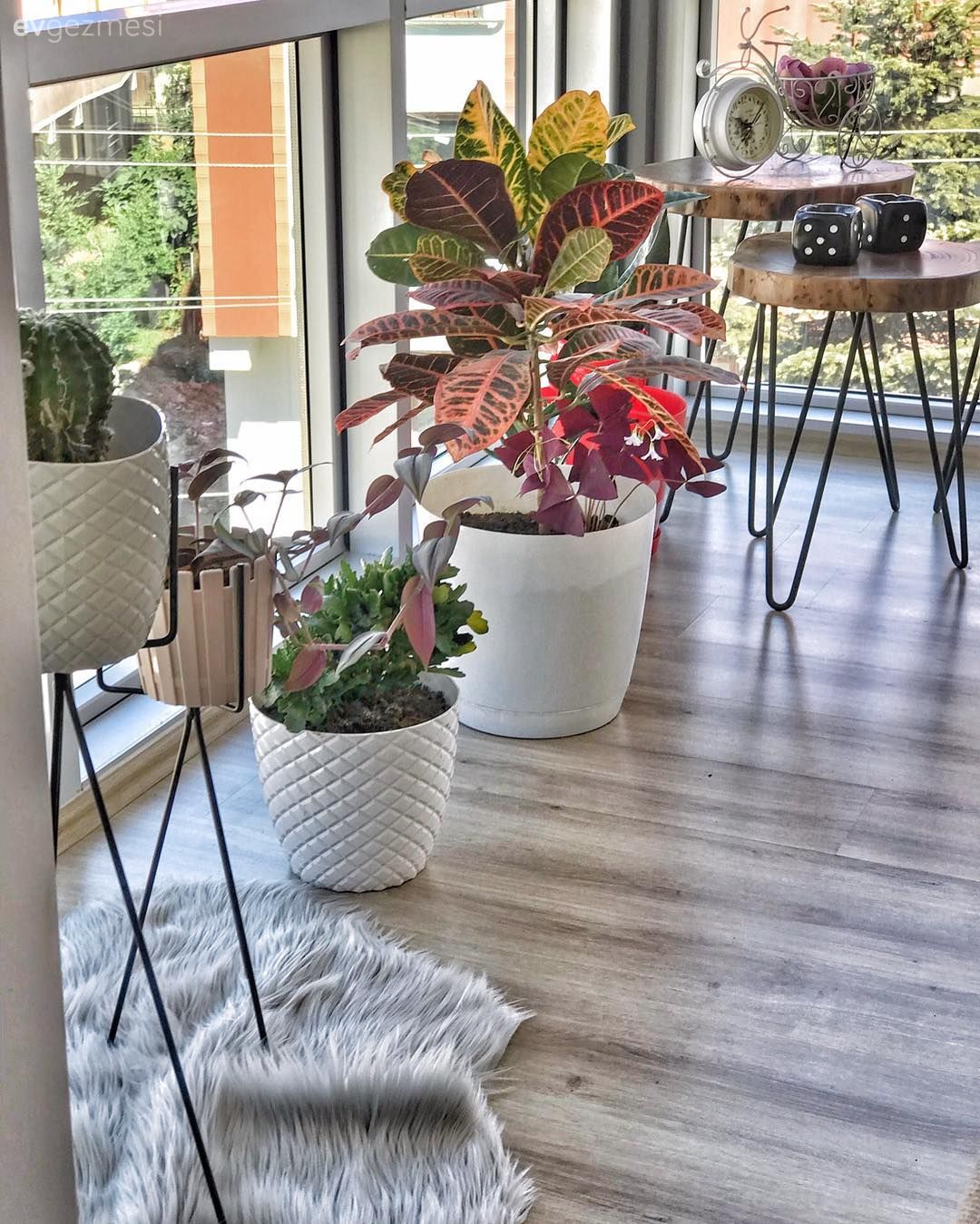 Bu Açık Konsept Alanda Pek Çok Fotojenik Köşe Var!