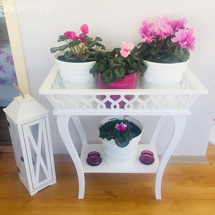 Çiçeklik, Çiçekler, Fener, Kapalı teras