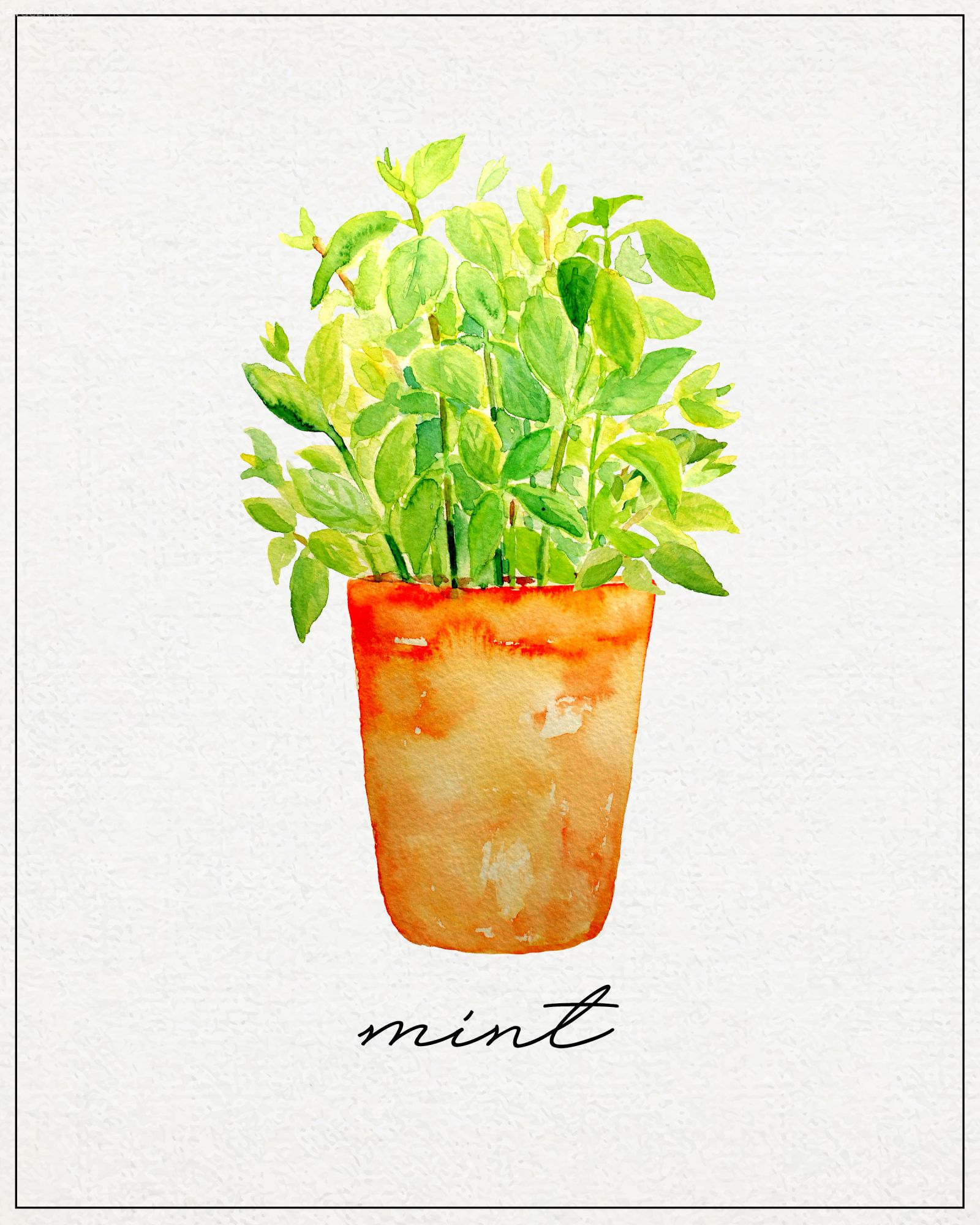 Bedava Baskılardan Tablo:  Bitki Çizimleri ile Harika Duvar Dekorları!