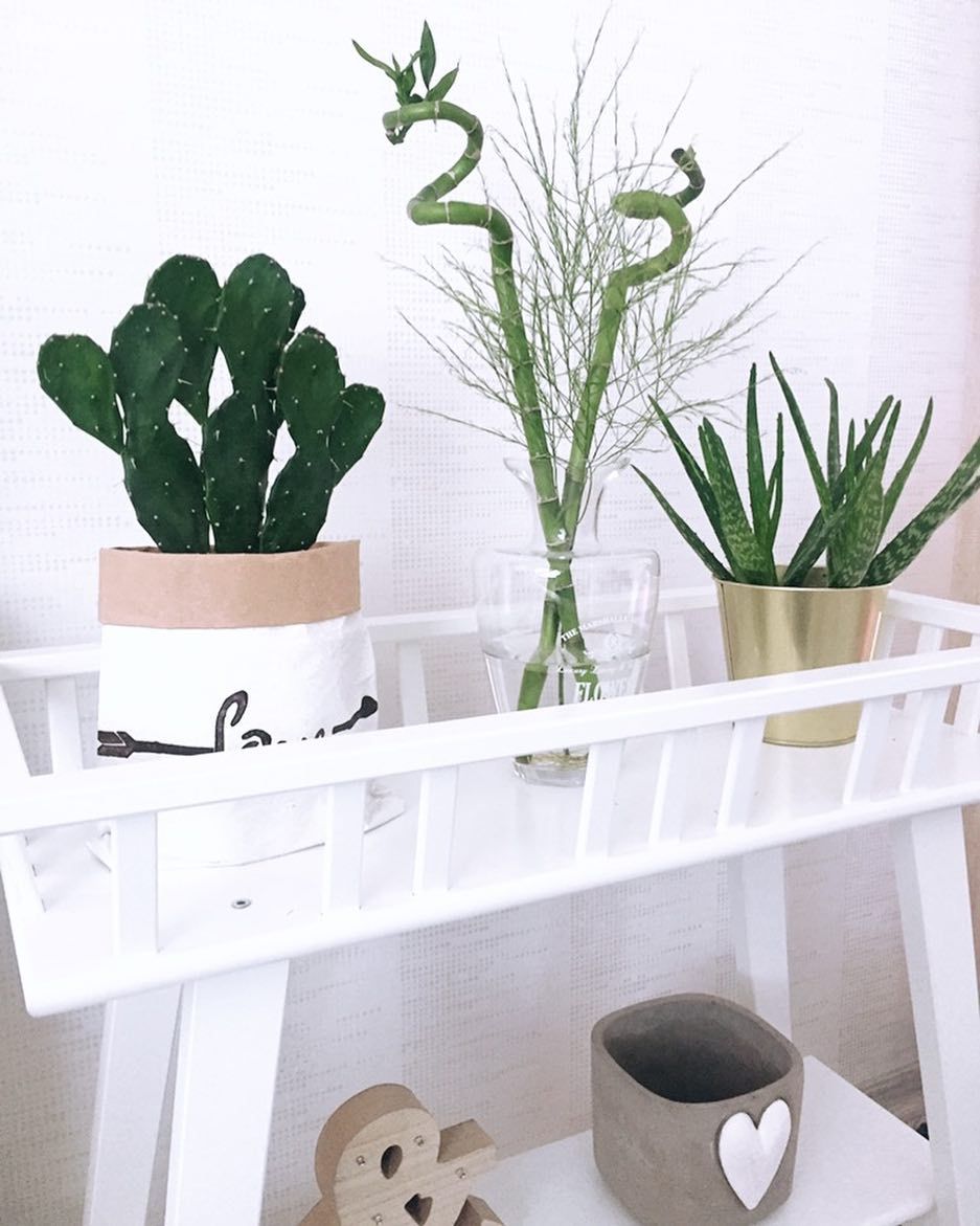 Hayalinizdeki Oturma Odasını Tasarlarken Bunlar Aklınızda Olsun!