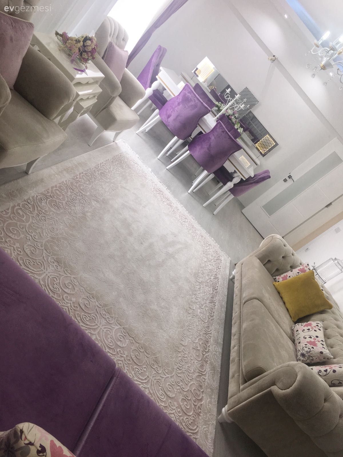 Salon, Mor, Yemek Odası, Halı