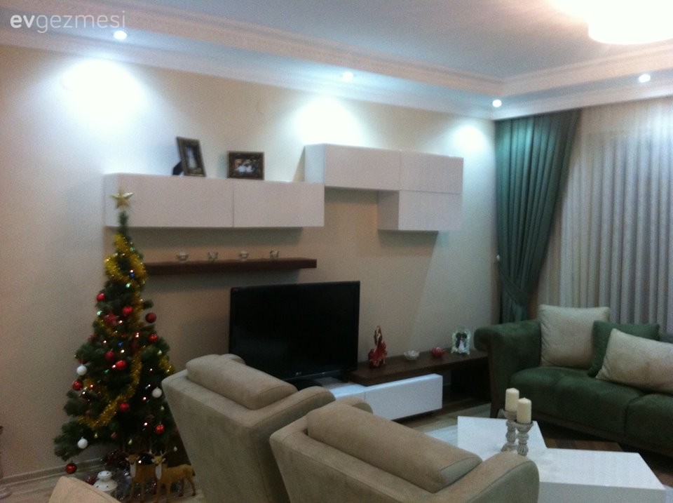 Salon, Tv ünitesi, Yeşil