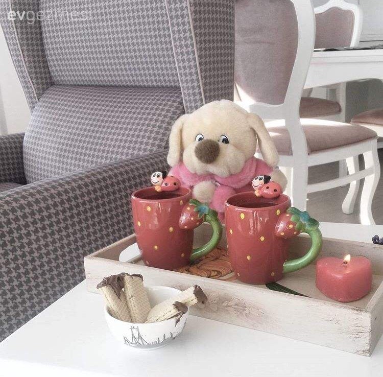 Berjer, Dekoratif Objeler, Sunum