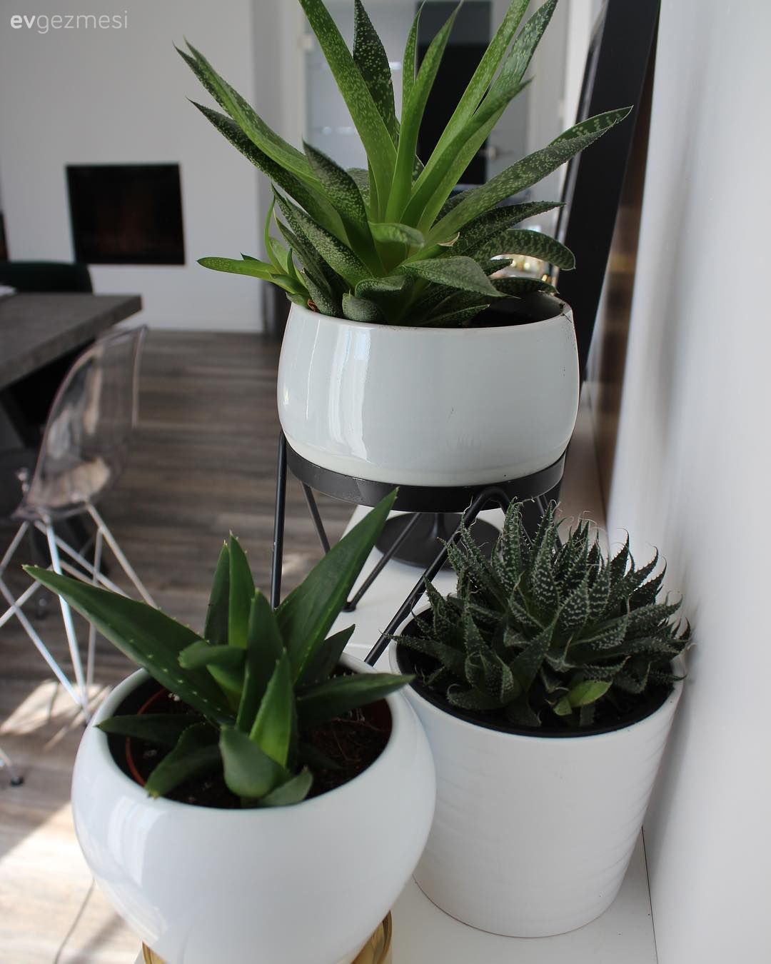 Yeşilin Sofistike Tonlarıyla Derinlik Kazanan Modern Bir Ev