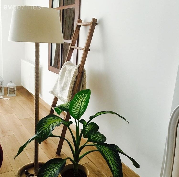 Çiçekler, Lambader, Merdiven, Salon, Aydınlatma