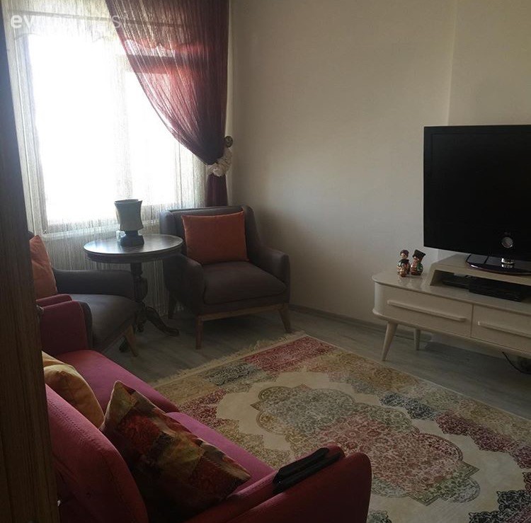 Berjer, Halı, Oturma Odası, Pembe, Perde, Tv ünitesi