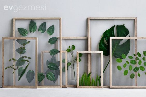 Evinize yeşiller katmanın bir başka yolu. Harika bir kendin yap projesi!