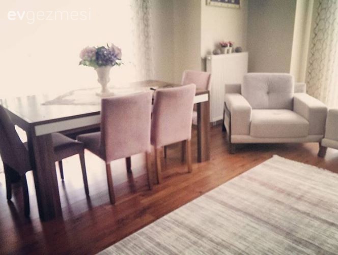 Mor, Salon, Yemek Odası