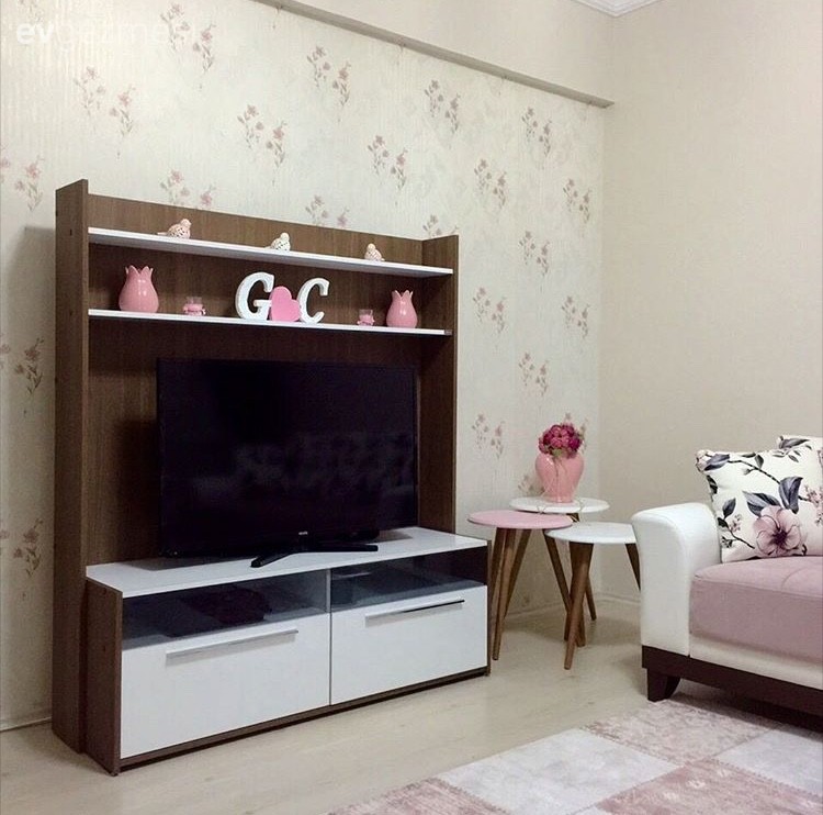 Oturma Odası, Tv ünitesi