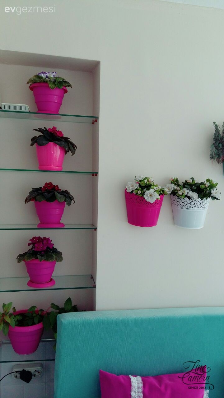 Balkon, Çiçekler, Pembe