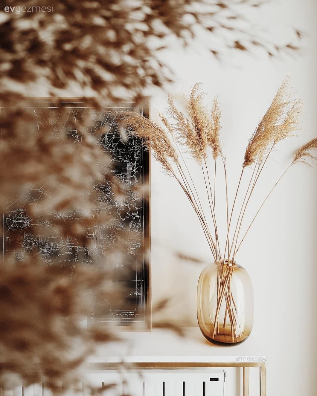 Vazo, Pampas otu, Antre