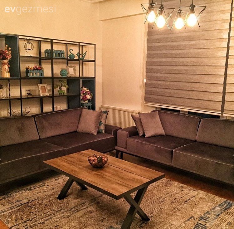 Gri, Halı, Kitaplık, Orta sehpa, Salon