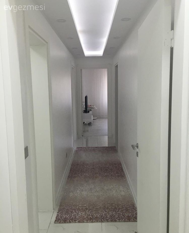 Gergi tavan, Halı, Hol