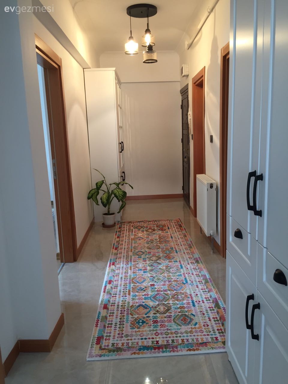 Halı, Hol, Vestiyer