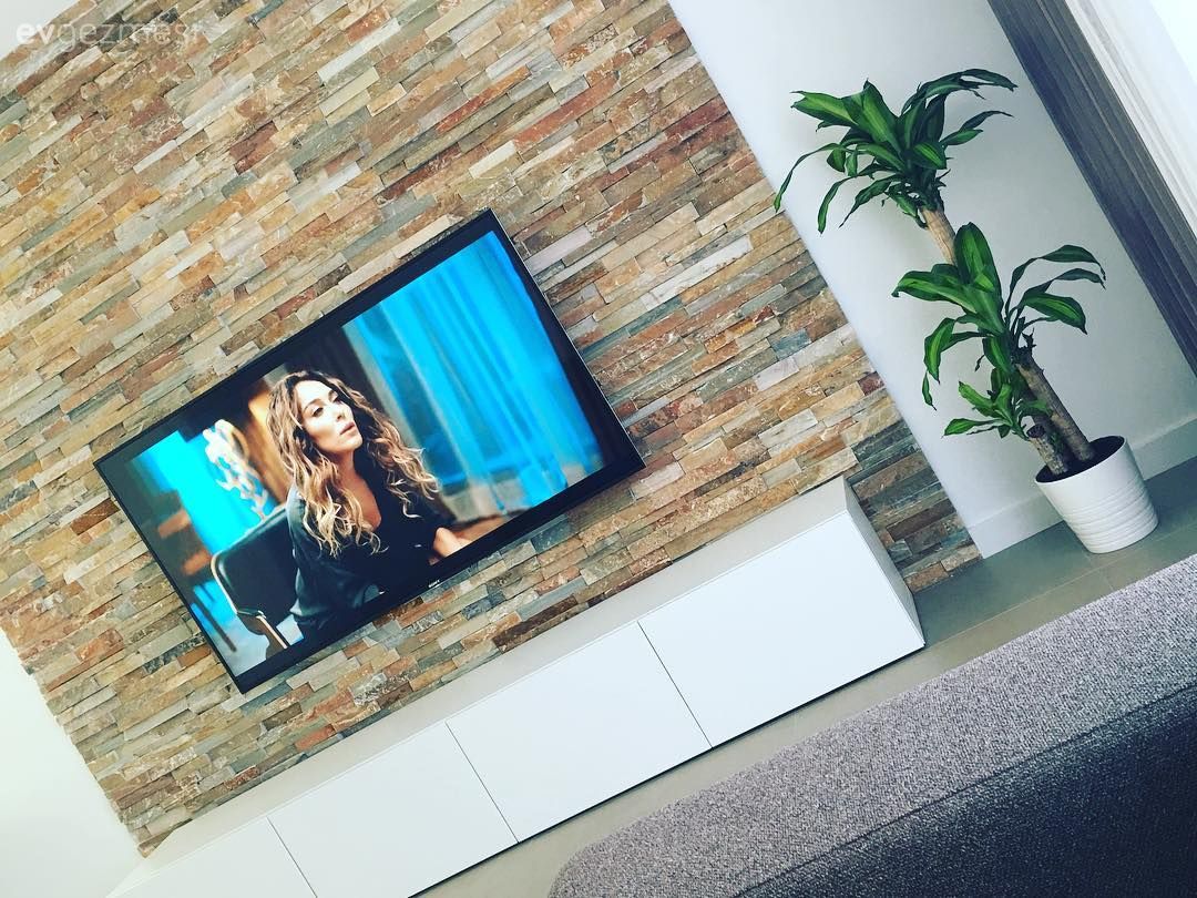 Salon, Taş duvar, Tv ünitesi