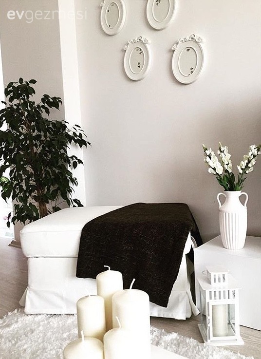 Kübra hanımın ev bitkileriyle zenginleşen, keyifli evi..