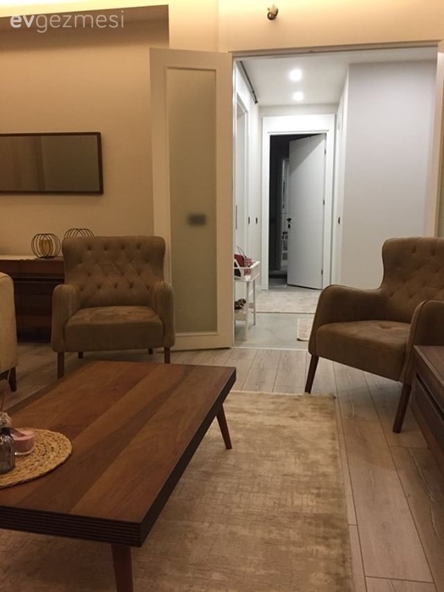 Salon, Berjer, Kahverengi, Orta sehpa, Halı, Ahşap Mobilya