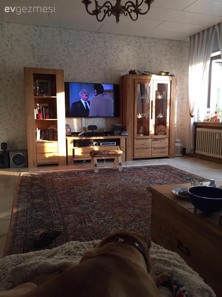 Ahşap Mobilya, Halı, Oturma Odası, Tv ünitesi