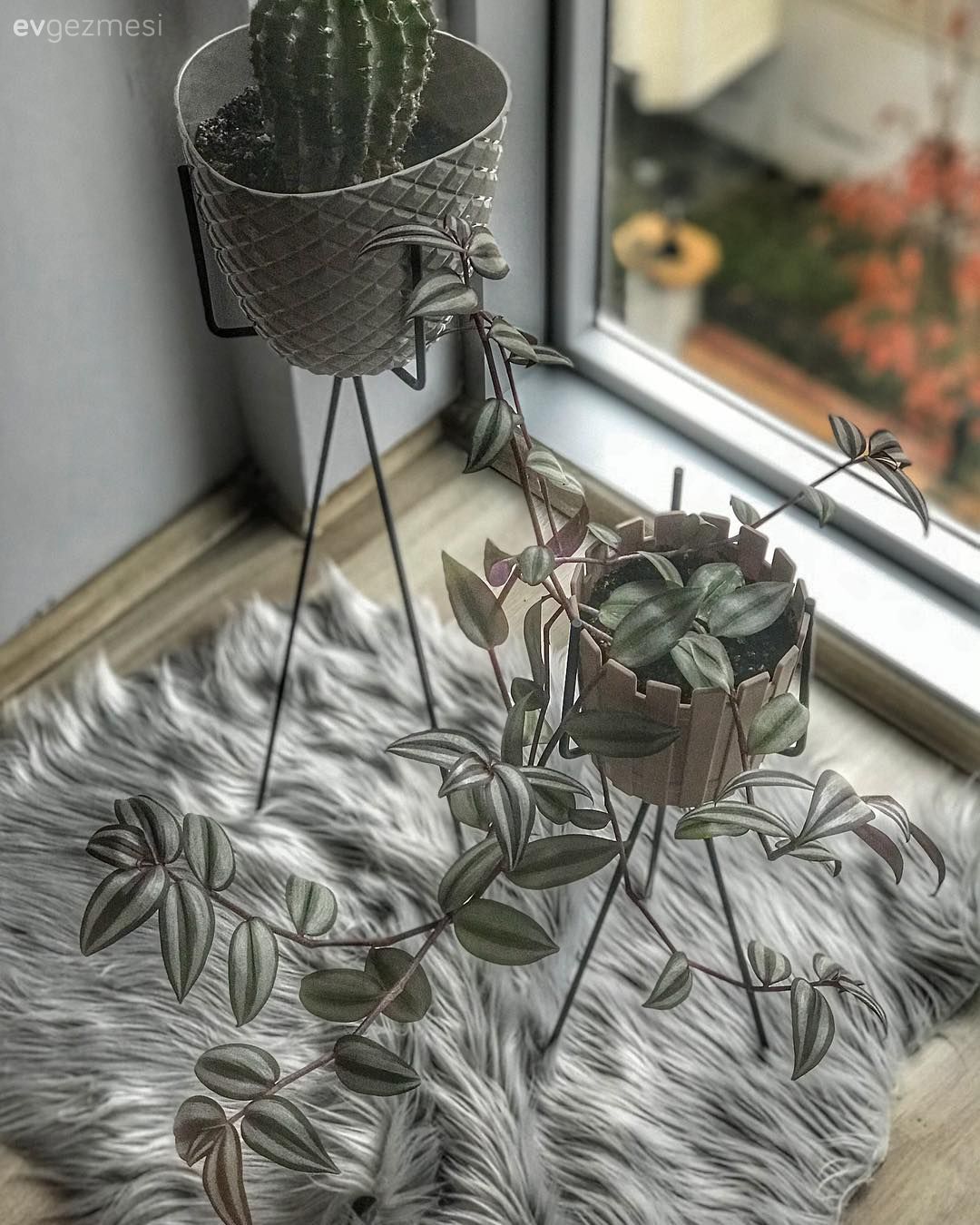 Bu Açık Konsept Alanda Pek Çok Fotojenik Köşe Var!