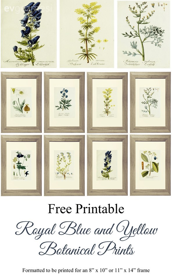 Doğayı evinizi getirecek bedava botanik posterler