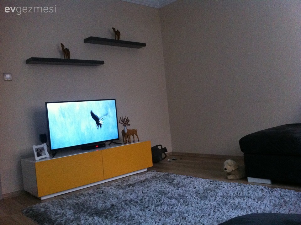 Halı, Oturma Odası, Tv ünitesi