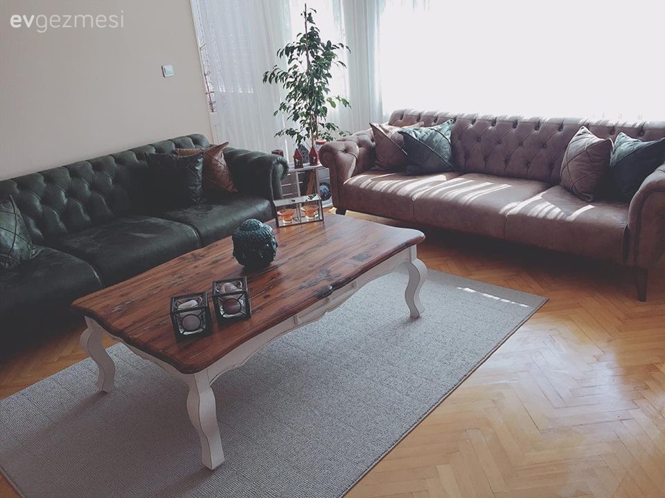 Halı, Krem, Orta sehpa, Salon, Yeşil