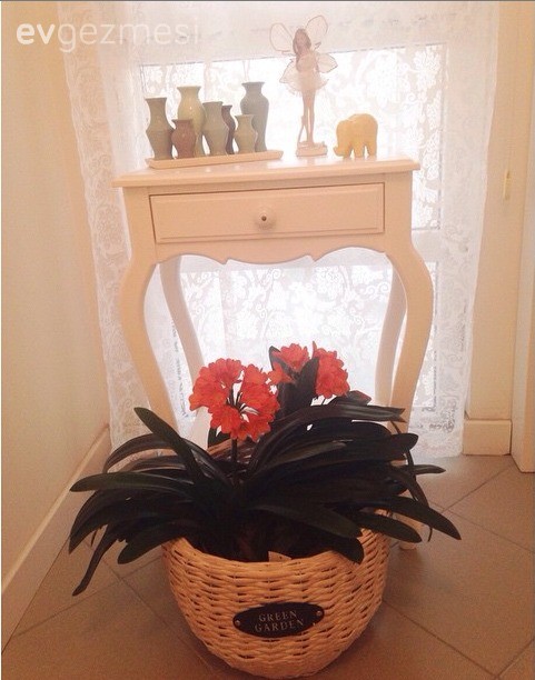 Çiçekler, Dekoratif Objeler, Hol, Sehpa