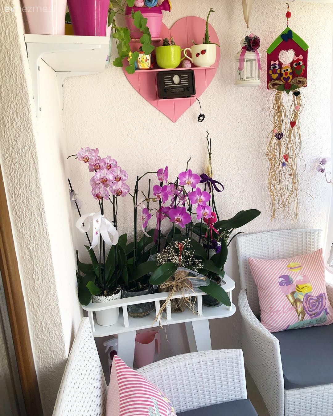 Orkide, Duvar dekorasyonu, Balkon, Balkon oturma grubu