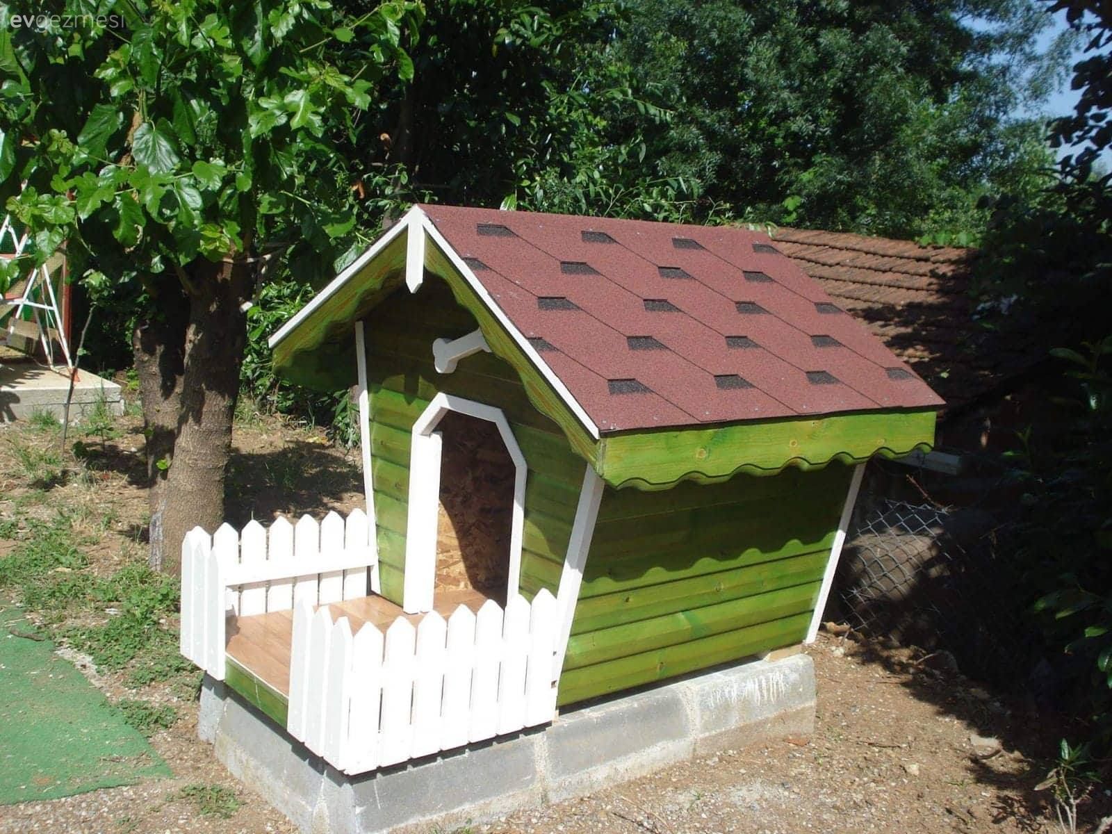 Rengarenk çiçekleri ile sanki cennetten bir köşe. Yasemin hanımın evi ve bahçesi..