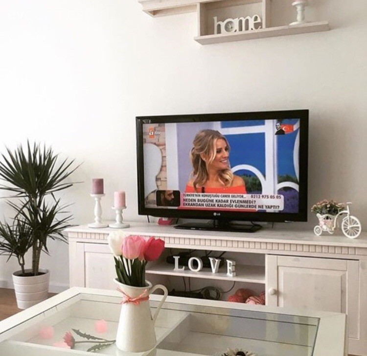Salon, Tv ünitesi