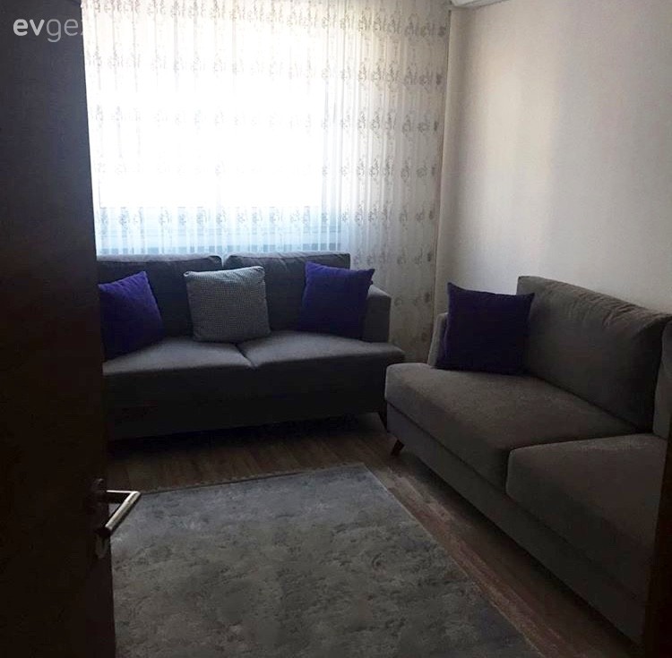 Halı, Kahverengi, Mavi, Oturma Odası