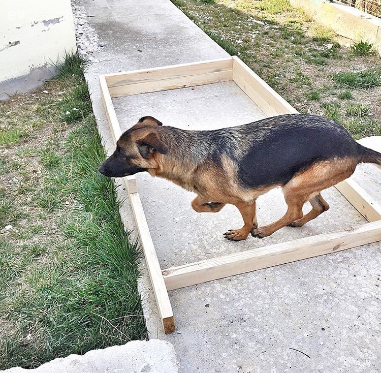 Çocuk Odası, Kendin Yap